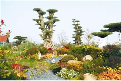 花境行業(yè)發(fā)展需培養專(zhuān)業(yè)人才