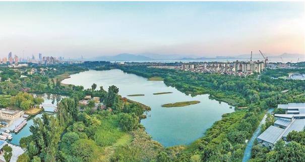 深圳面向2035高質(zhì)量編制國土空間總體規劃
