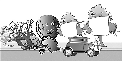 省生態(tài)環(huán)境廳、省公安廳來(lái)我市調研機動(dòng)車(chē)污染防治工作