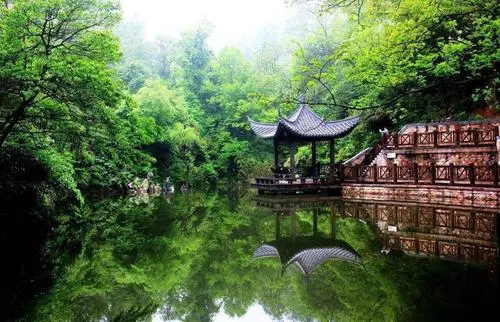 安徽敬亭山國家森林公園生態(tài)破壞現象嚴重被點(diǎn)名