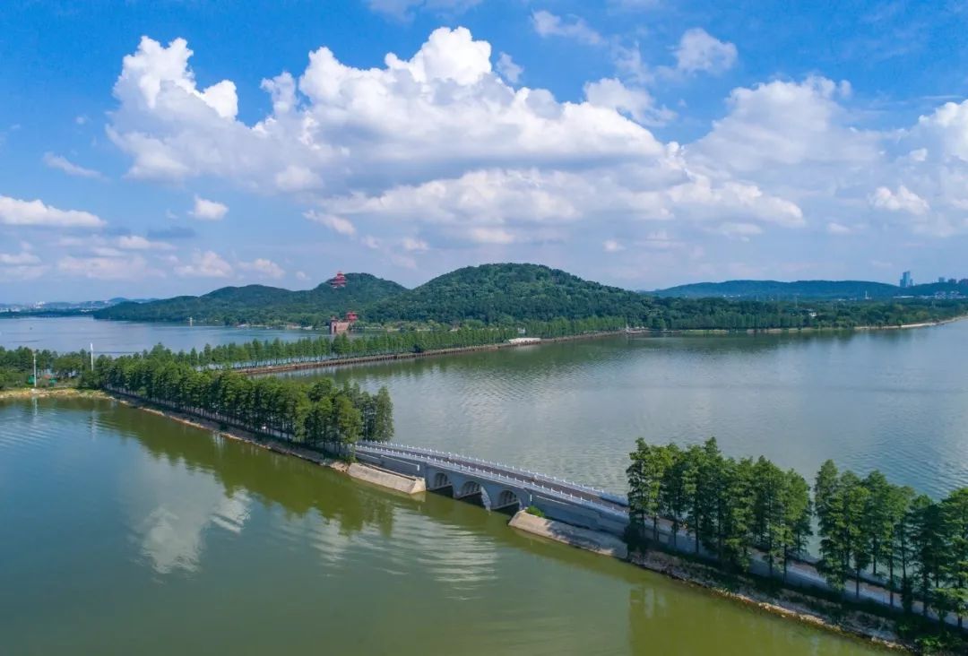 武漢五年內建成40個(gè)湖泊公園
