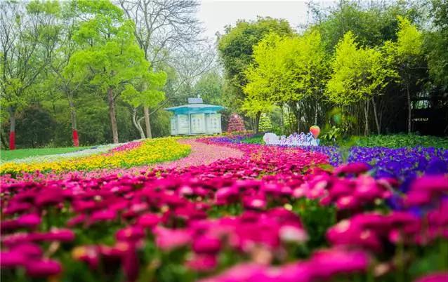 湖北園林景觀(guān)中的重頭戲——植物景觀(guān)設計