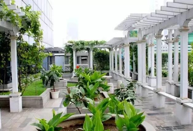 湖北凱蒂園林告訴你園林綠化工程主要包含哪些內容？
