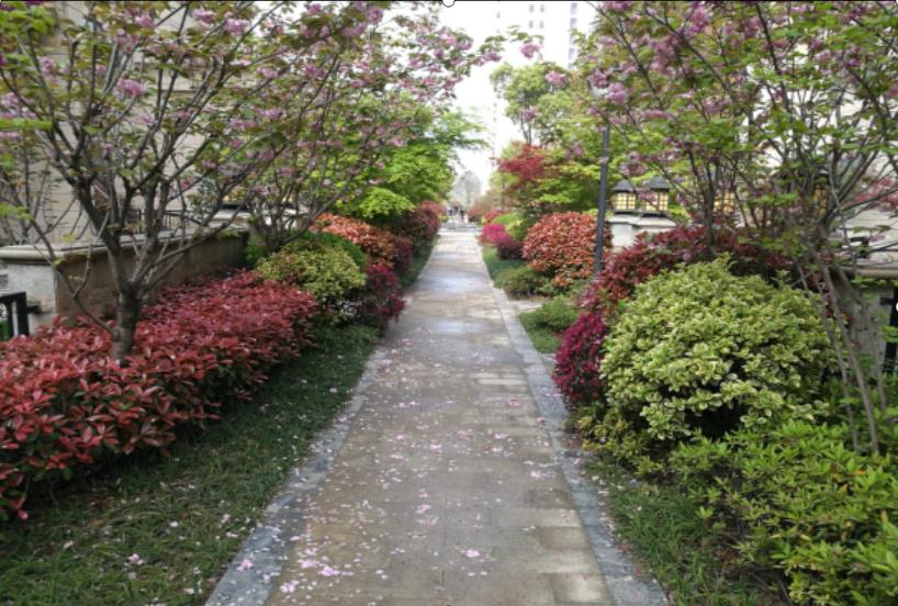 湖北園林綠化工程中園路的類(lèi)型及鋪裝時(shí)應注意的問(wèn)題
