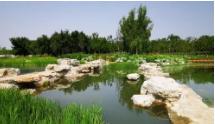 北京開(kāi)建11個(gè)城市公園 中軸線(xiàn)南各嵌一顆綠寶石