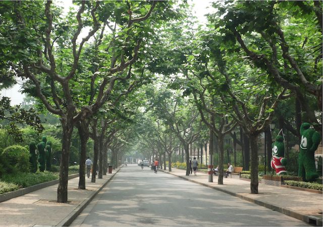 陳從周先生眼中的風(fēng)景園林與社會(huì )教化