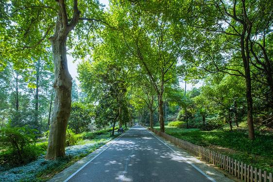武漢這樣規劃建設環(huán)城林帶和生態(tài)廊道