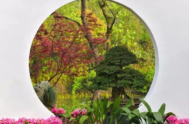 園林景觀(guān)中的重頭戲——植物景觀(guān)設計
