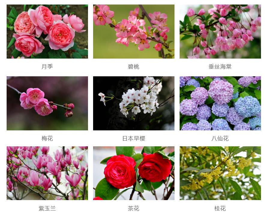 園林景觀(guān)工程如何節約成本？