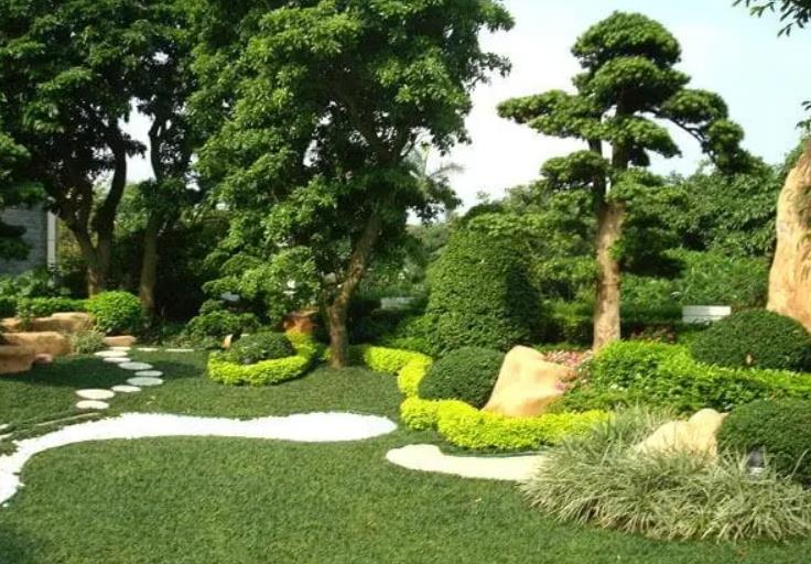 園林景觀(guān)設計之植物墻設計在哪些地方適合？