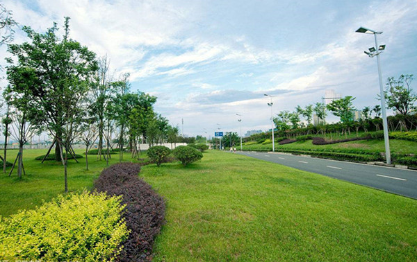 談一談襄陽(yáng)道路綠化景觀(guān)設計的特點(diǎn)有哪些