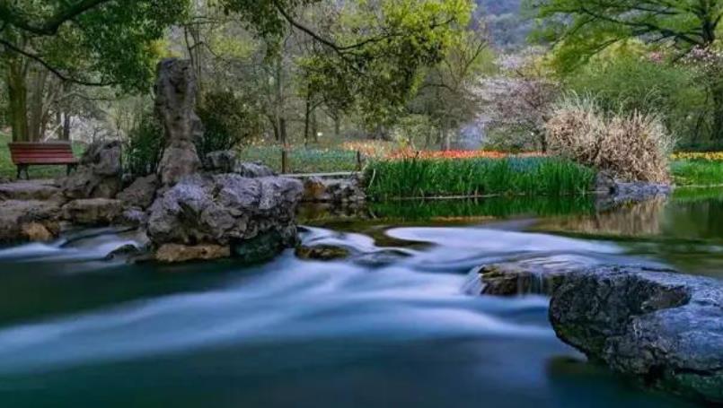園林景觀(guān)中的水體設計你了解多少