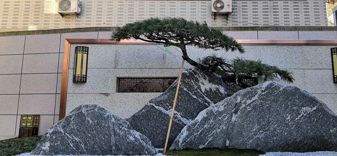 設計別墅庭院有哪些風(fēng)格